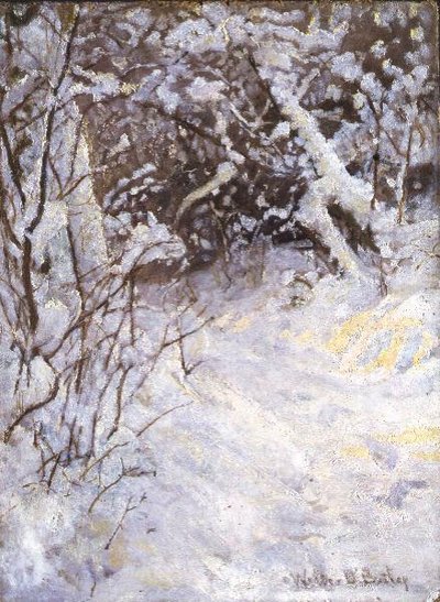 Sneeuw door Walter D. Batley