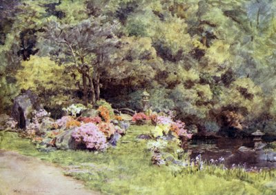Azalea
