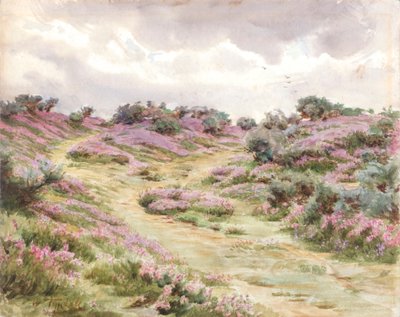 Dopheide op Setley Plain door Walter Frederick Roofe Tyndale