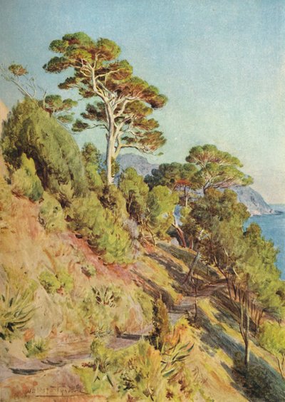 In de Villa Piuma, Sestri Levante door Walter Frederick Roofe Tyndale