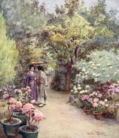 Pioenen in een Theetuin, Kyoto door Walter Frederick Roofe Tyndale