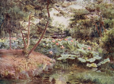 Pijnboom en Roze Lotus bij Kofu door Walter Frederick Roofe Tyndale