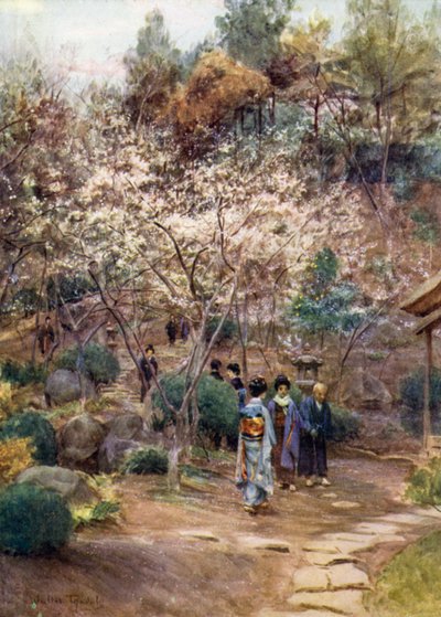 Pruimenbomen in Atami door Walter Frederick Roofe Tyndale