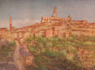 Siena: Een stad op een heuvel door Walter Frederick Roofe Tyndale