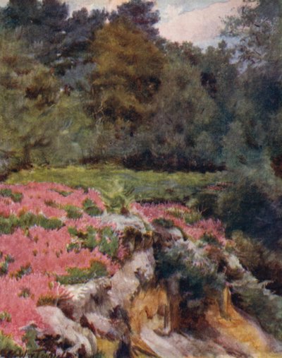 Het New Forest: Een grindgroeve bij Royden door Walter Frederick Roofe Tyndale