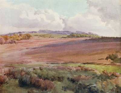 Het Nieuwe Bos: Over Malwood Walk vanaf de Weg naar Fritham door Walter Frederick Roofe Tyndale