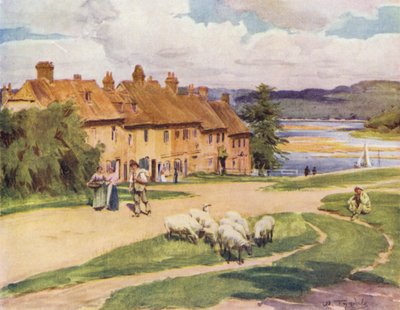 Het New Forest: Buckler