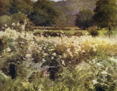 Het Nieuwe Woud: Meadow Sweet bij Royden door Walter Frederick Roofe Tyndale