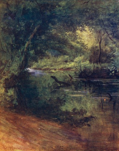 Het New Forest: Northgate, nabij Culverley, in de Lodge Walk door Walter Frederick Roofe Tyndale