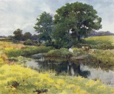 Het New Forest: Aan de Lymington Rivier door Walter Frederick Roofe Tyndale