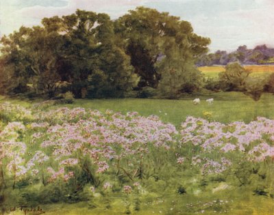 Het Nieuwe Woud: Riversdale, Boldre door Walter Frederick Roofe Tyndale