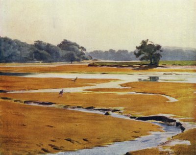 Het Nieuwe Woud: De Beaulieu Rivier door Walter Frederick Roofe Tyndale