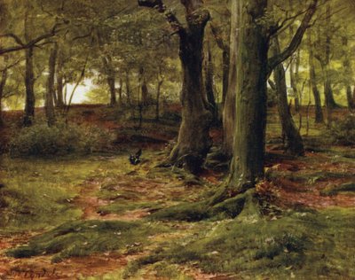 Het Nieuwe Woud: The Hill Woods, Lyndhurst door Walter Frederick Roofe Tyndale