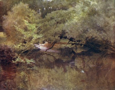 Het New Forest: De Lymington River bij Royden, nabij Boldre door Walter Frederick Roofe Tyndale