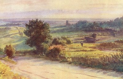 Wessex: Blackmore Vale vanuit Shaftesbury door Walter Frederick Roofe Tyndale