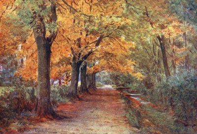Wessex: Bockhampton Bank, bij Dorchester door Walter Frederick Roofe Tyndale
