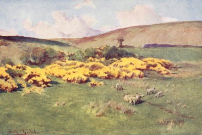 Wessex: Zomer in Wessex door Walter Frederick Roofe Tyndale