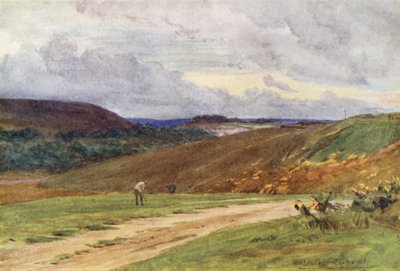 Wessex: The Broadstone Golf Links, nabij Poole door Walter Frederick Roofe Tyndale