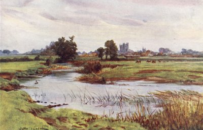 Wessex: De Stour, Wimborne Minster in de verte door Walter Frederick Roofe Tyndale