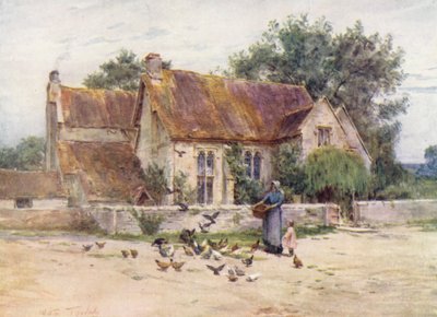 Wessex: Bossen bij Mere, Wilts door Walter Frederick Roofe Tyndale