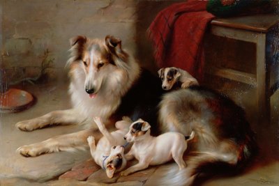 Een Collie met Fox Terrier Puppies, 1913 door Walter Hunt