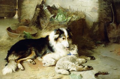 Moederloos - Het Huisdier van de Herder door Walter Hunt