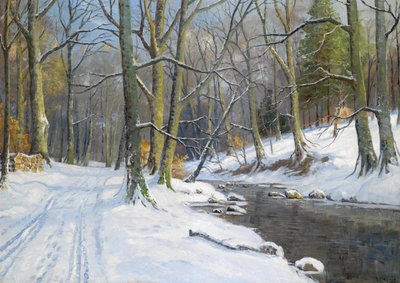 Beeklandschap in de winter door Walter Moras