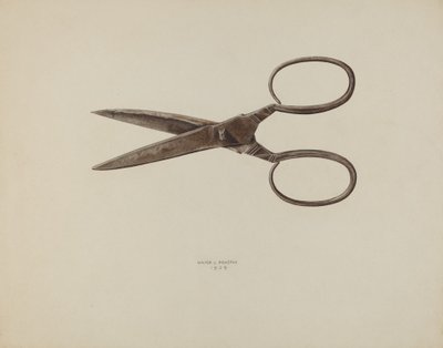 Schaar door Walter Praefke