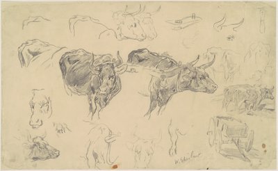 Studies van ossen door Walter Shirlaw