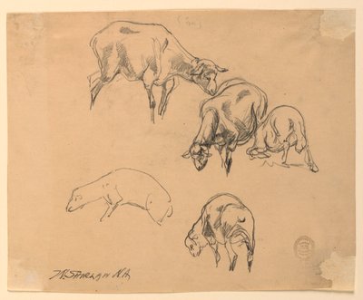 Studies van Schapen door Walter Shirlaw