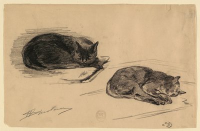 Studie van katten door Walter Shirlaw