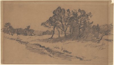 Bomen in een veld door Walter Shirlaw
