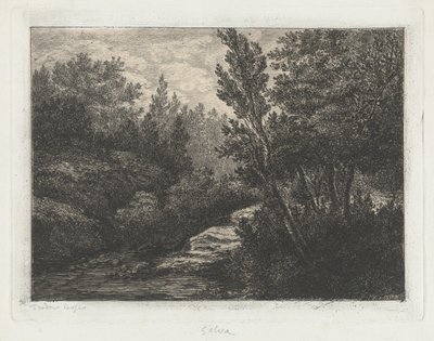 Selva (Woods) door Walter Teodoro Bosio
