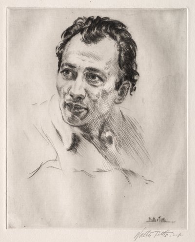 Henri Caro-Delvaille, nr. 2 door Walter Tittle