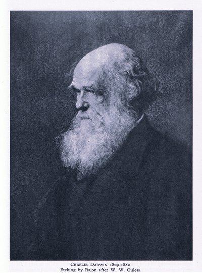 Ets van Charles Darwin, Natuur in Groot-Brittannië uitgegeven door Collins door Walter William (after) Ouless
