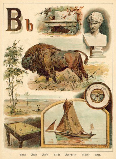 Letter B door Walter Zweigle