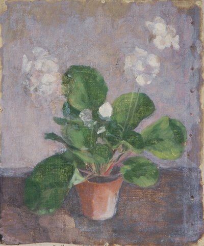 Stilleven met bloempot door Walther Gamerith