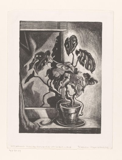 Philodendron in raamkozijn door Wanda Gág