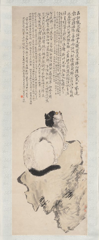 Kat door Wang Li
