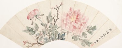 Pioenroos door Wang Wu