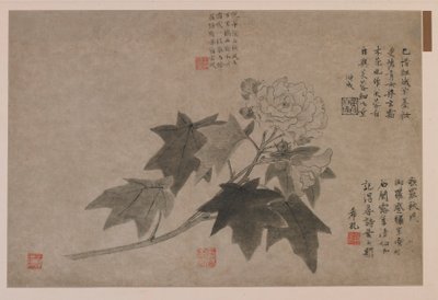 Hibiscus, 1347 door Wang Yuan