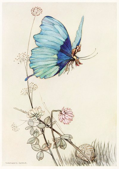 De Vlinder Vloog Weg en Steeg Op in de Lucht met Kleine Tom op zijn Rug, uit Het Sprookjesboek door Warwick Goble