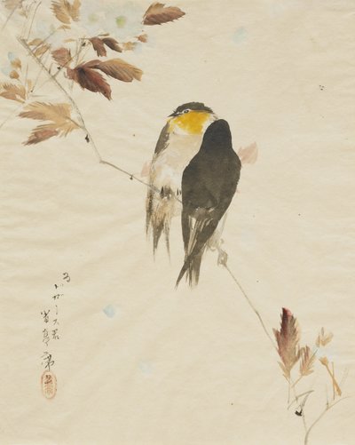 Vogels op een Tak door Watanabe Seitei