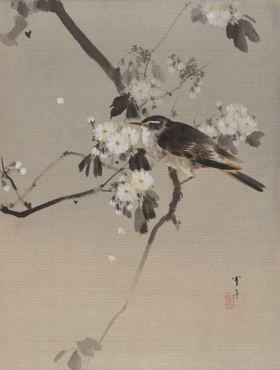 Vogels op een bloeiende tak, ca. 1887 door Watanabe Seitei