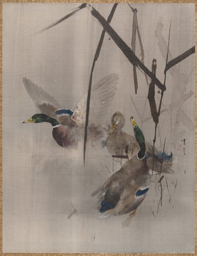 Eenden in het riet, ca. 1887 door Watanabe Seitei