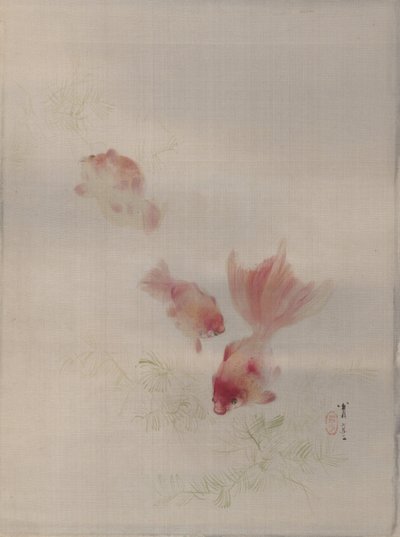 Goudvis, ca. 1887 door Watanabe Seitei