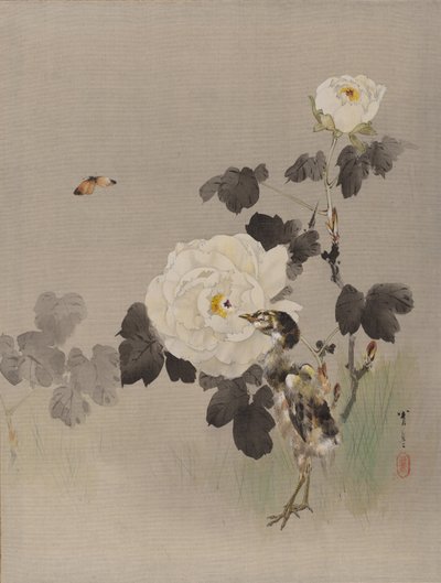 Rozen, Jonge Vogel en een Vlinder door Watanabe Seitei