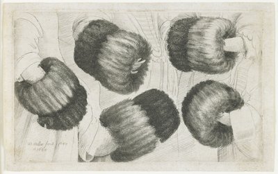 Een Muff in Vijf Zichten, 1645-1646 door Wenceslaus Hollar