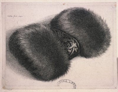 Een grote mof met een band van brokaat, 1647 door Wenceslaus Hollar