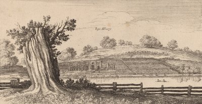 Albury, 1645 door Wenceslaus Hollar